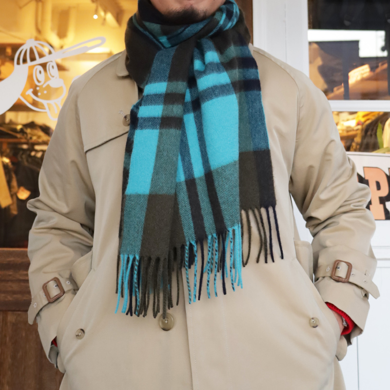 IMG_1313 のコピー