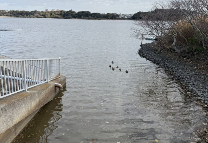 今年もまたすんごいのできました