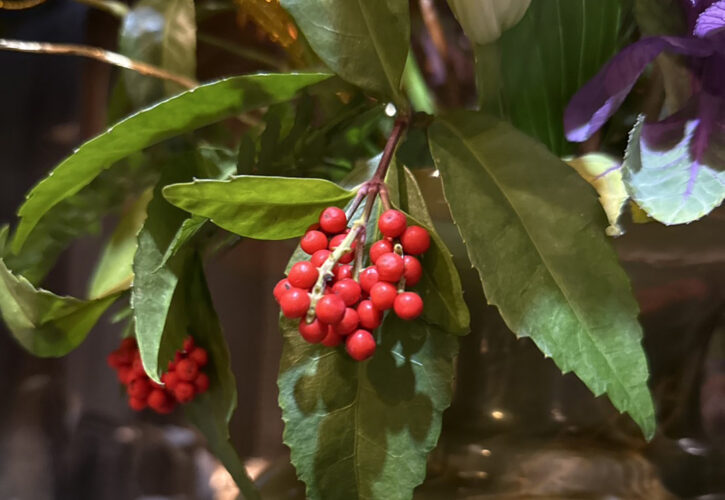 2026年も宜しくお願いいたします。