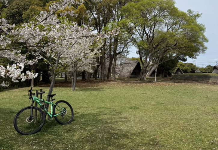 ジャケットにも似合うので