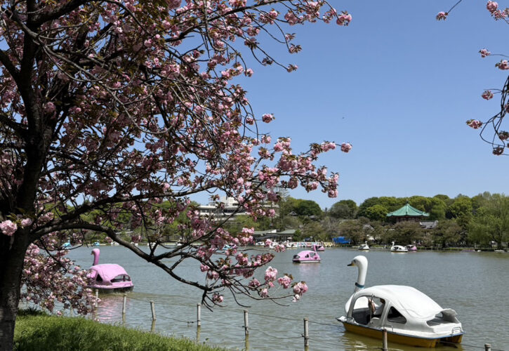 こうアチーとですね